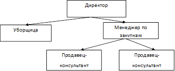  организационная структура управления 1
