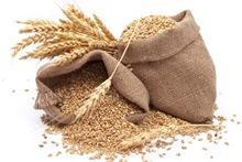  В чем интерес производителя в перепродаже зерна?