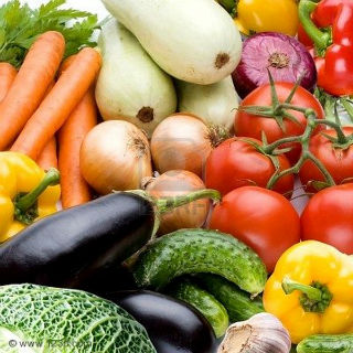 Бизнес план выращивания овощей