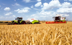 Бизнес план растениеводство пшеницы