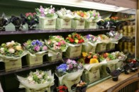 Бизнес план цветочного магазина с расчетами
